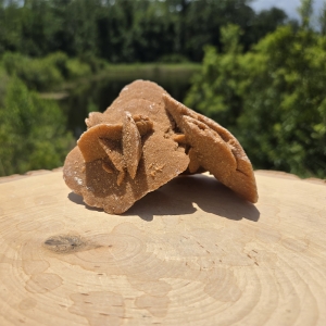 Desert Sand Rose