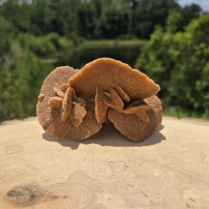 Desert Sand Rose