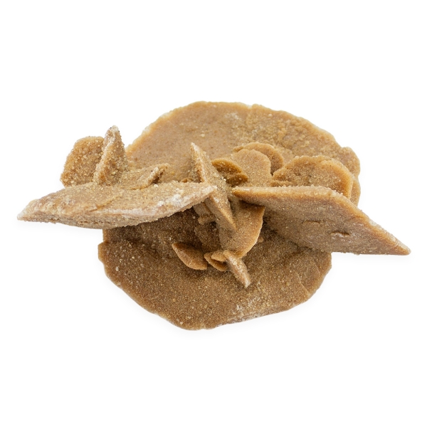 Desert Sand Rose - Image 4