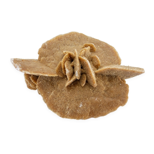 Desert Sand Rose - Image 3