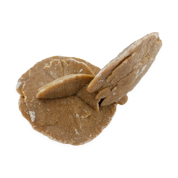 Desert Sand Rose - Image 3