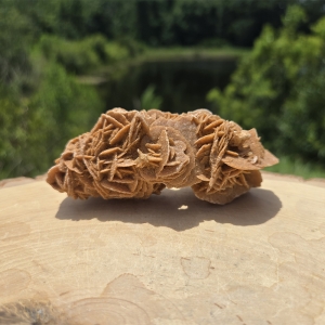 Desert Sand Rose
