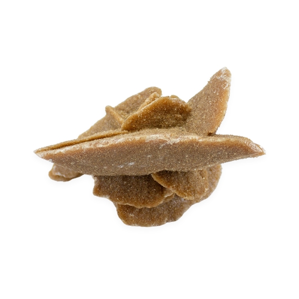 Desert Sand Rose - Image 4