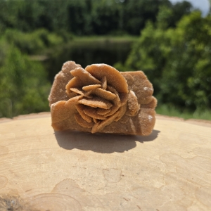 Desert Sand Rose