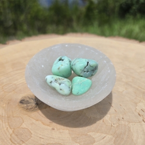 Chrysopal Tumbled Stone (Medium)