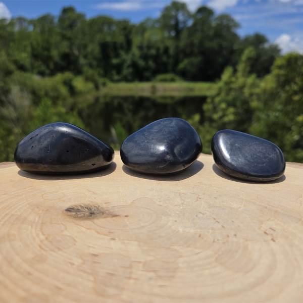 Shungite Aura Small