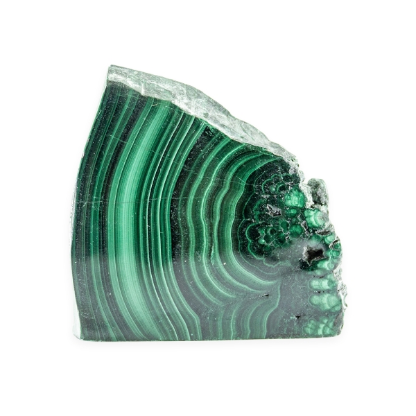 Polished Malachite Slice - Image 2