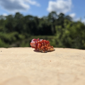 Vanadinite Cluster