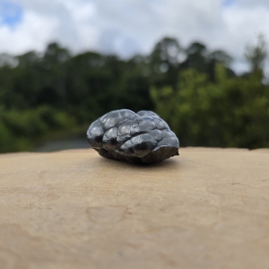 Botryoidal Hematite