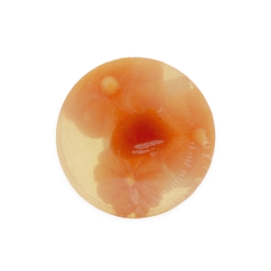Pumpkin Queen Crystal Bar Soap