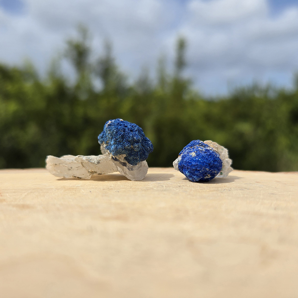 Blueberry Azurite on Matrix Pair