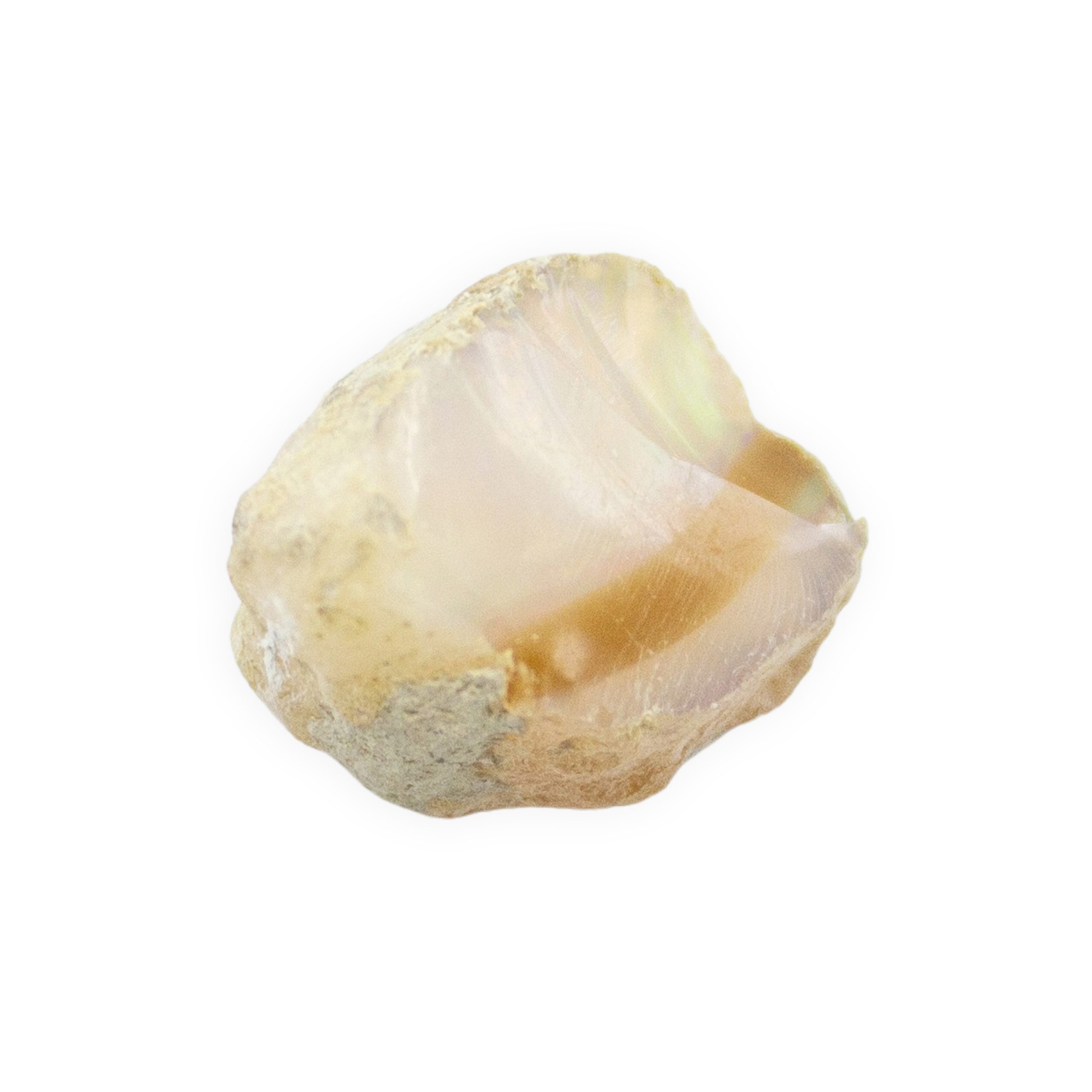 Ethiopian Opal - Image 4