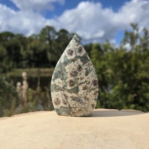Green Flower Jasper Freeform