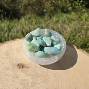 Amazonite Tumbled Set (Extra Large)