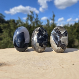 Volcano Agate Palm Stone