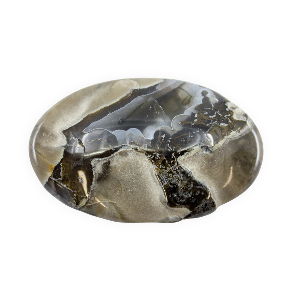 Volcano Agate Palm Stone - Image 2