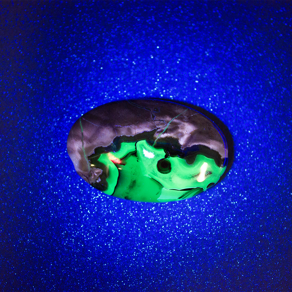 Volcano Agate Palm Stone - Image 5