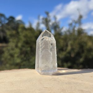 Polished Lemurian Seed Point with Phantom