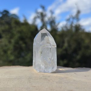 Polished Lemurian Seed Point with Phantom and Rainbow