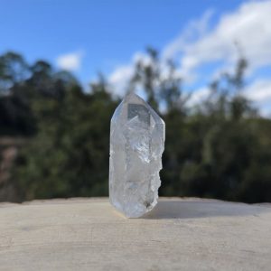 Polished Lemurian Seed Point with Phantom
