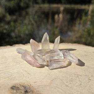 Lemurian Seed Quartz Point Extra Small
