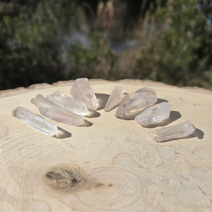 Lemurian Seed Quartz Point Small