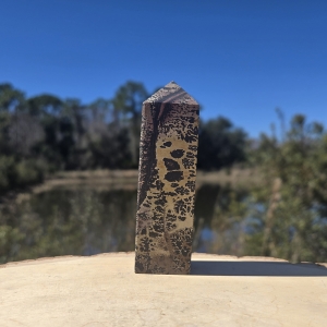 Picture Jasper Tower