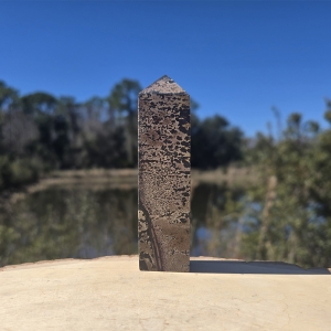 Picture Jasper Tower