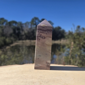 Picture Jasper Tower