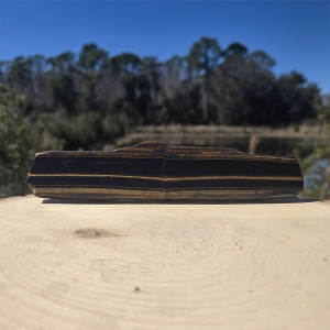 Tiger's Eye Polished Slab