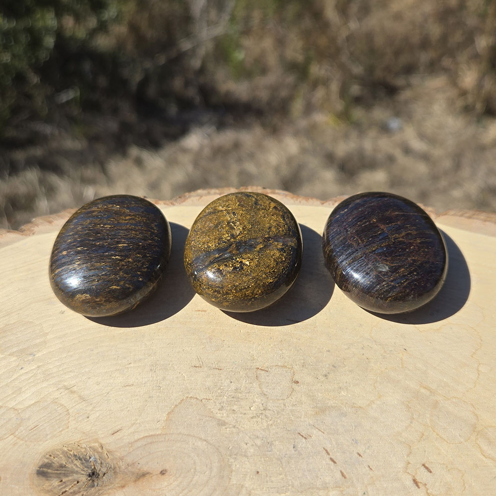 Bronzite Palm Stone