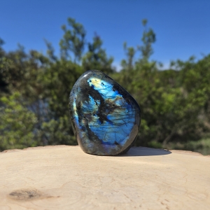 Labradorite Polished Freeform