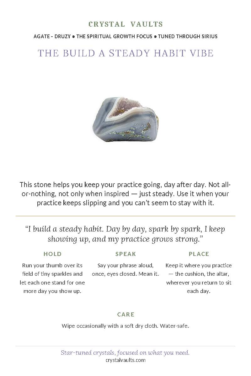 Build a Steady Habit Vibe - Image 2