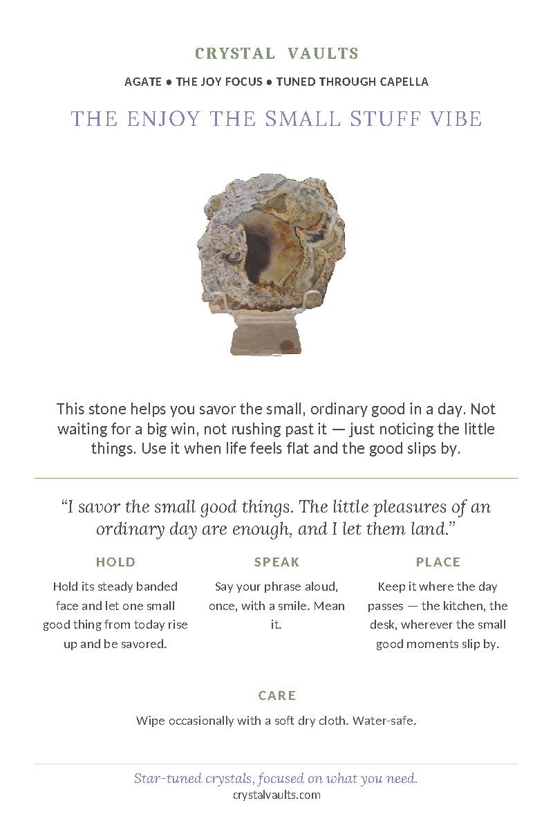 Enjoy the Small Stuff Vibe - Image 5