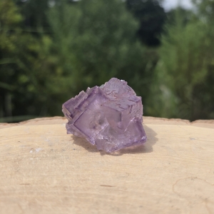 Cubic Fluorite Cluster
