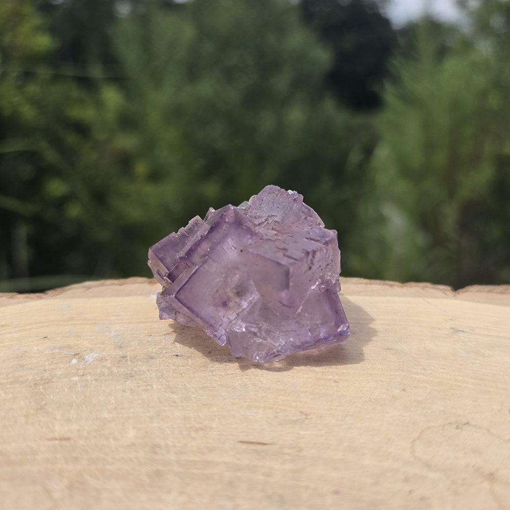 Cubic Fluorite Cluster