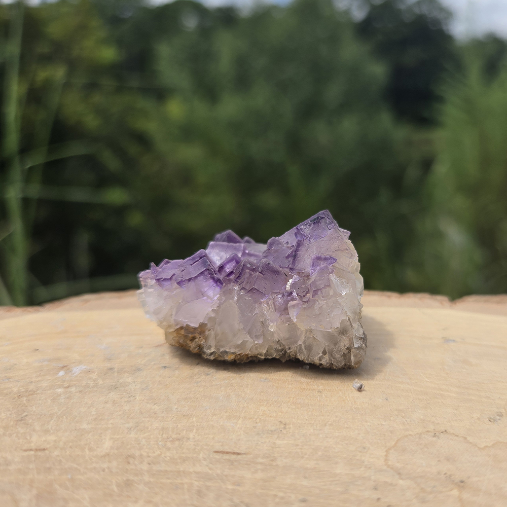 Cubic Fluorite Cluster