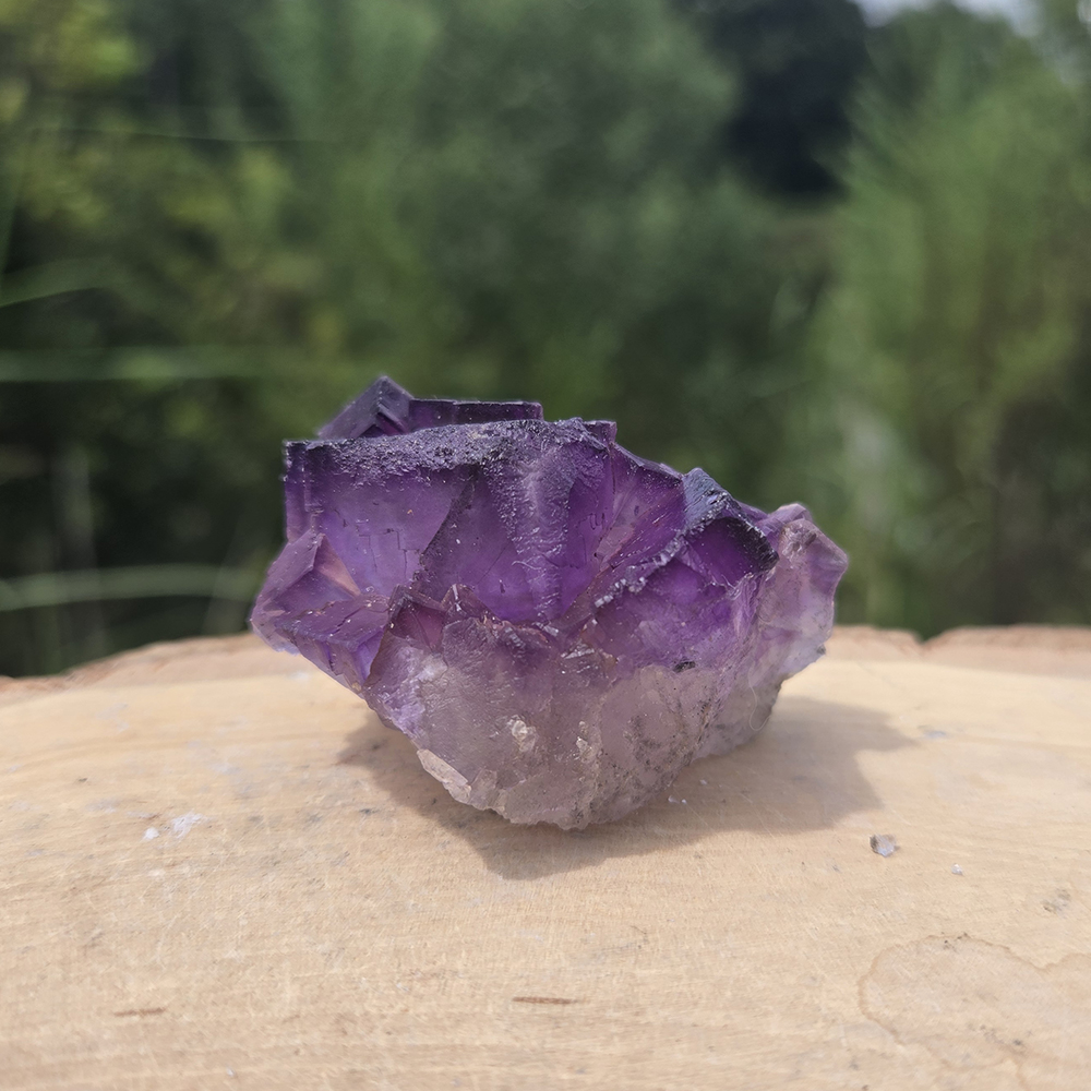 Cubic Fluorite Cluster