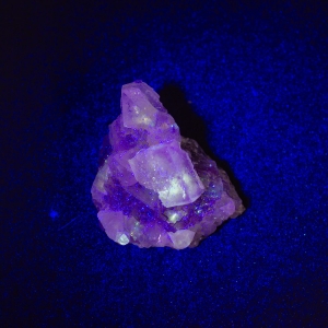 Galaxy Fluorite Cluster