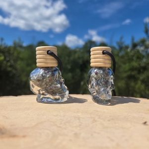 Skull Bottle Neccklace with Bloodstone Chips