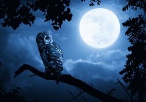 blue moon