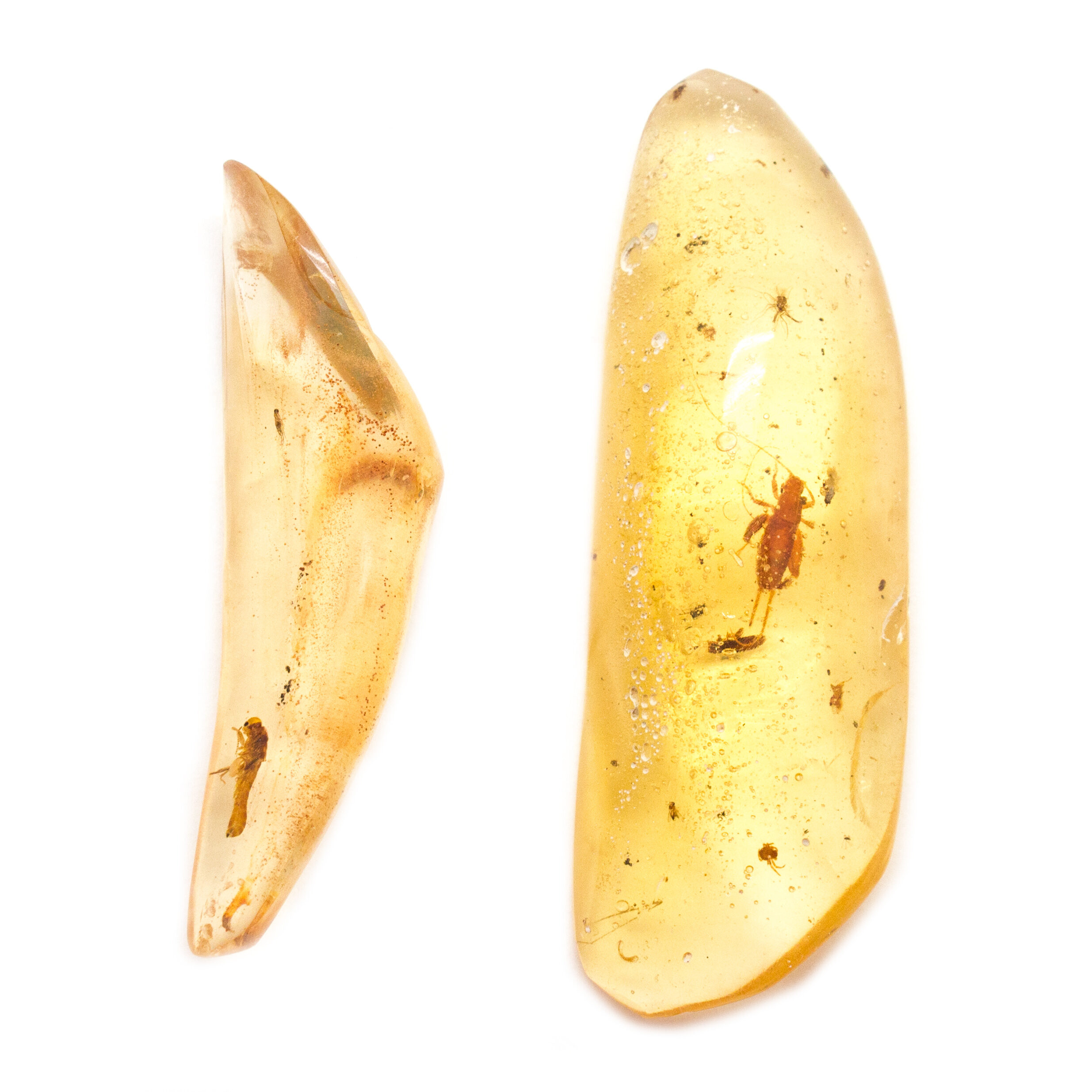 "Colombian Amber" Aura Stone Pair (Medium)-113860