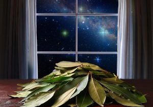 far out bay