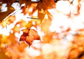 Photo by Matt on Unsplash