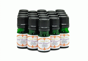 Set of 21 Student Size Essential Oils-0