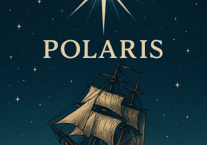 polaris header polaris header