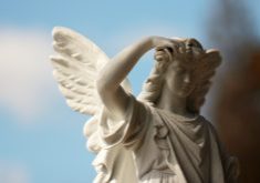 Photo by Sandy Millar on Unsplash