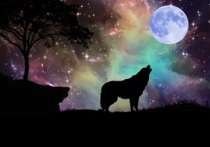 crystals for the wolf moon